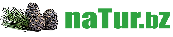 logo naTur.bz